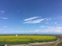-青海湖国家重点风景名胜区售票处