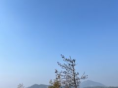 -长沙黑麋峰国家森林公园