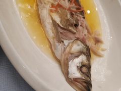 -古南都·老广东酒楼(龙江店)