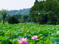 -宜兴龙背山森林公园