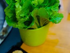 -炭虎子水浒烤肉(梦时代店)