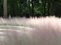 -苏州河梦清园环保主题公园