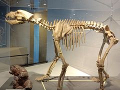 -北京周口店北京人遗址博物馆