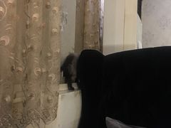 -吱咖啡西式简餐