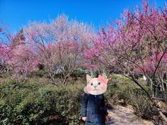 -太子山公园(园东路)