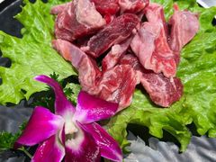 -多乐熊烤肉·俪米鸡(家佳源店)