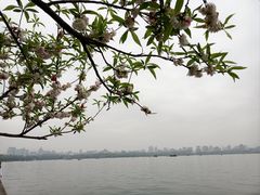 -浙江西子宾馆·牡丹厅