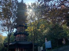 -上海佘山国家森林公园西佘山园