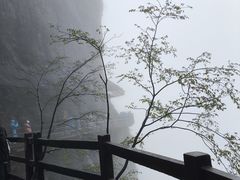 -恩施大峡谷