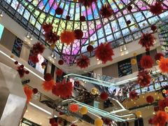 -中大国际(南大街店)