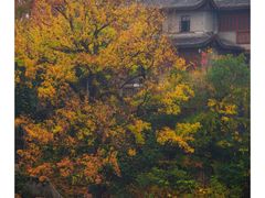 -溪口-滕头旅游景区