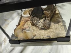 -酷嗒动物文化乐园(cutezoo西溪乐天城店)