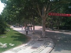 -山东理工大学
