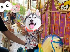 -史努比缤纷世界
