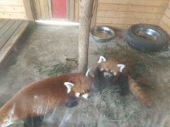 -武汉紫薇都市田园