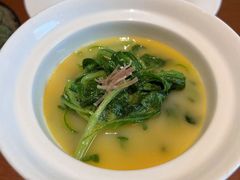 玉琅玕-觀芷隐轩