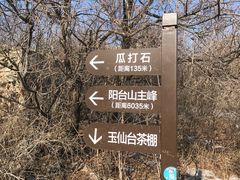 -阳台山自然风景区