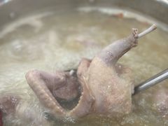 -鸽鸟轩(石岐店)