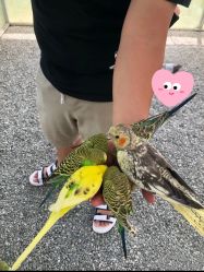 -萌宠亲子动物乐园(槐房万达店)