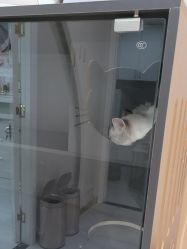 -花系美·美甲美睫精品店