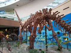 -陕西自然博物馆