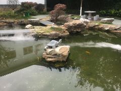 -木兰水镇旅游景区