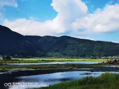 -腾冲北海湿地