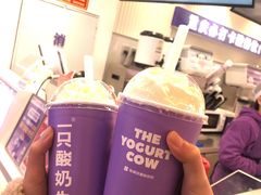 -一只酸奶牛(八一路店)