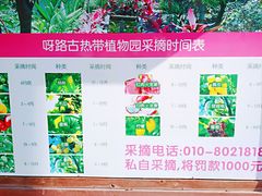 -呀路古热带植物园