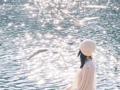 -星海湾跨海大桥