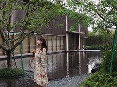 -大屏嶂森林公园
