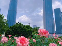 -二沙岛艺术公园