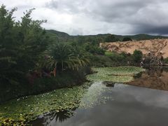 -世界恐龙谷景区