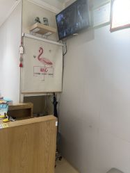 -初心はつ こころ日式美甲美睫沙龙