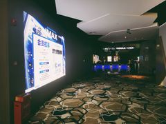 -星河寰宇IMAX影城(星河WORLD·COCO Park店)