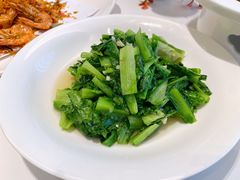 -四季春