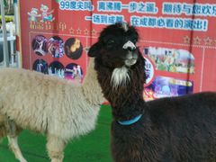 -国色天乡三期陆地乐园