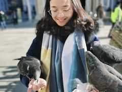 -圣马尔谷圣殿宗主教座堂