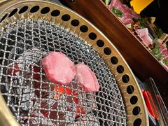-300杯·和牛烧肉清酒专门店(廊里店)