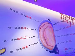 -千岛蚝高压锅生蚝·人参火锅(白云万达店)