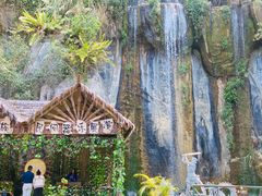 -西双版纳原始森林公园