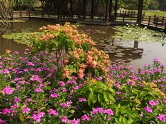 -中国科学院西双版纳热带植物园