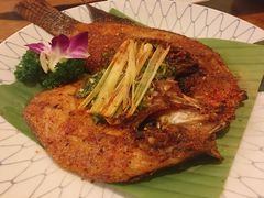 -紫滇源云南生态菜(丹凤街店)