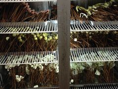 -雲记卢妈冷锅串串(中道街总店)