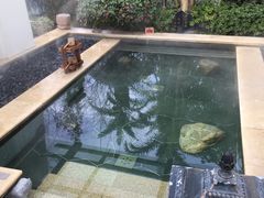 -苏州湾王焰温泉度假酒店