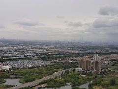 -嘉定凯悦·咖啡厅