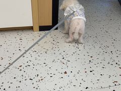 -瑞派康怡24h宠物医院·犬猫医疗中心·微创绝育(瑞景分院)