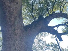 -新安江山水画廊风景区