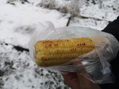 -武陵山森林公园