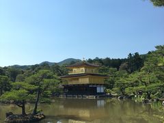 -豆政(金閣寺境内売店)